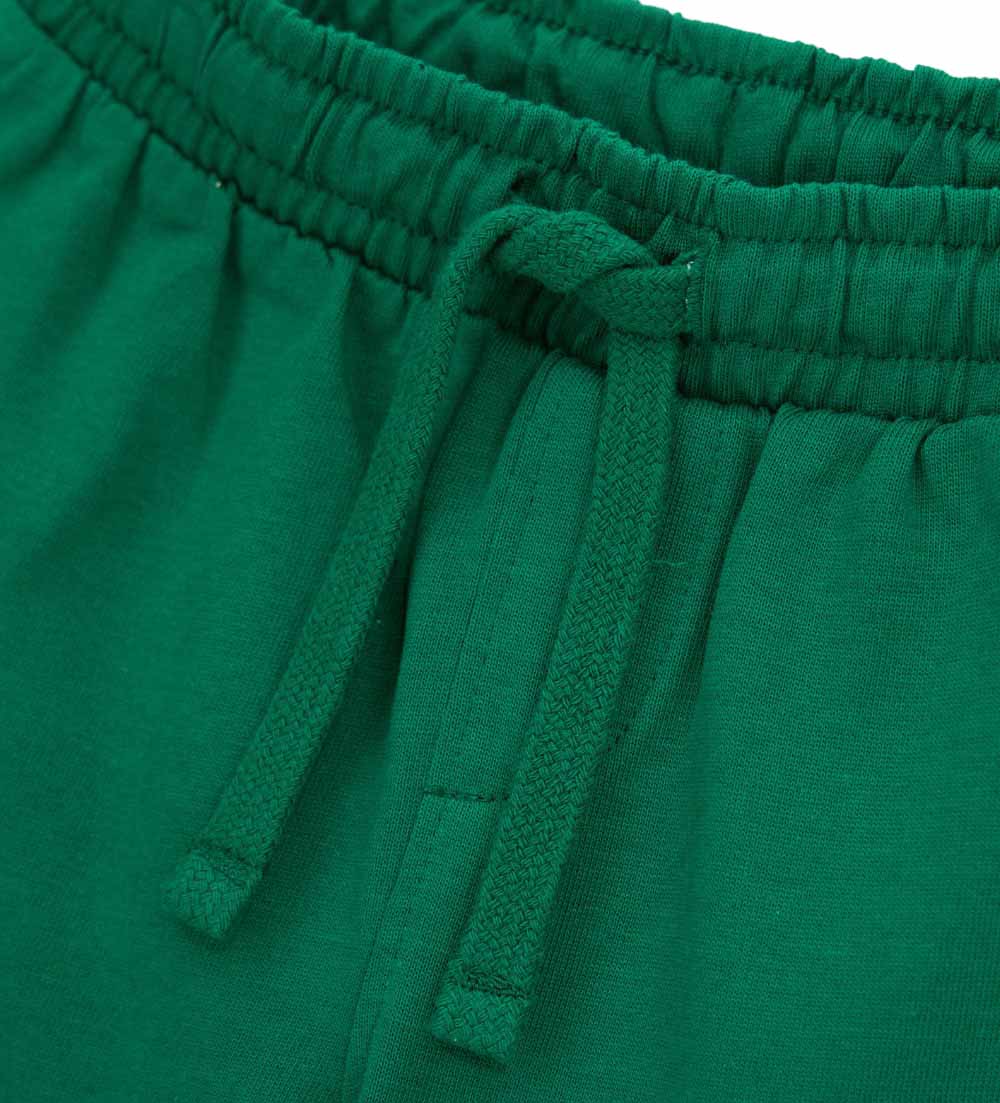 #COLOR_GREEN