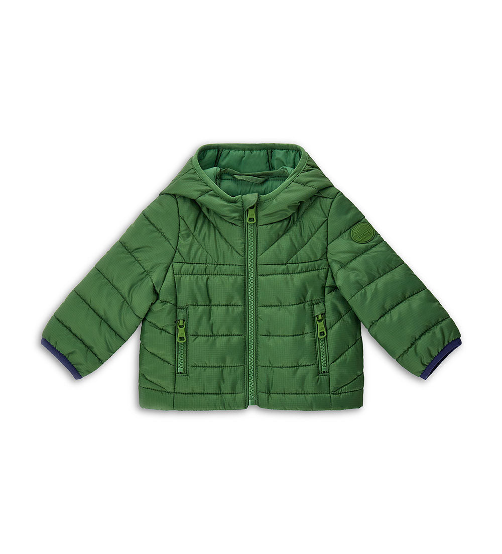 #COLOR_GREEN