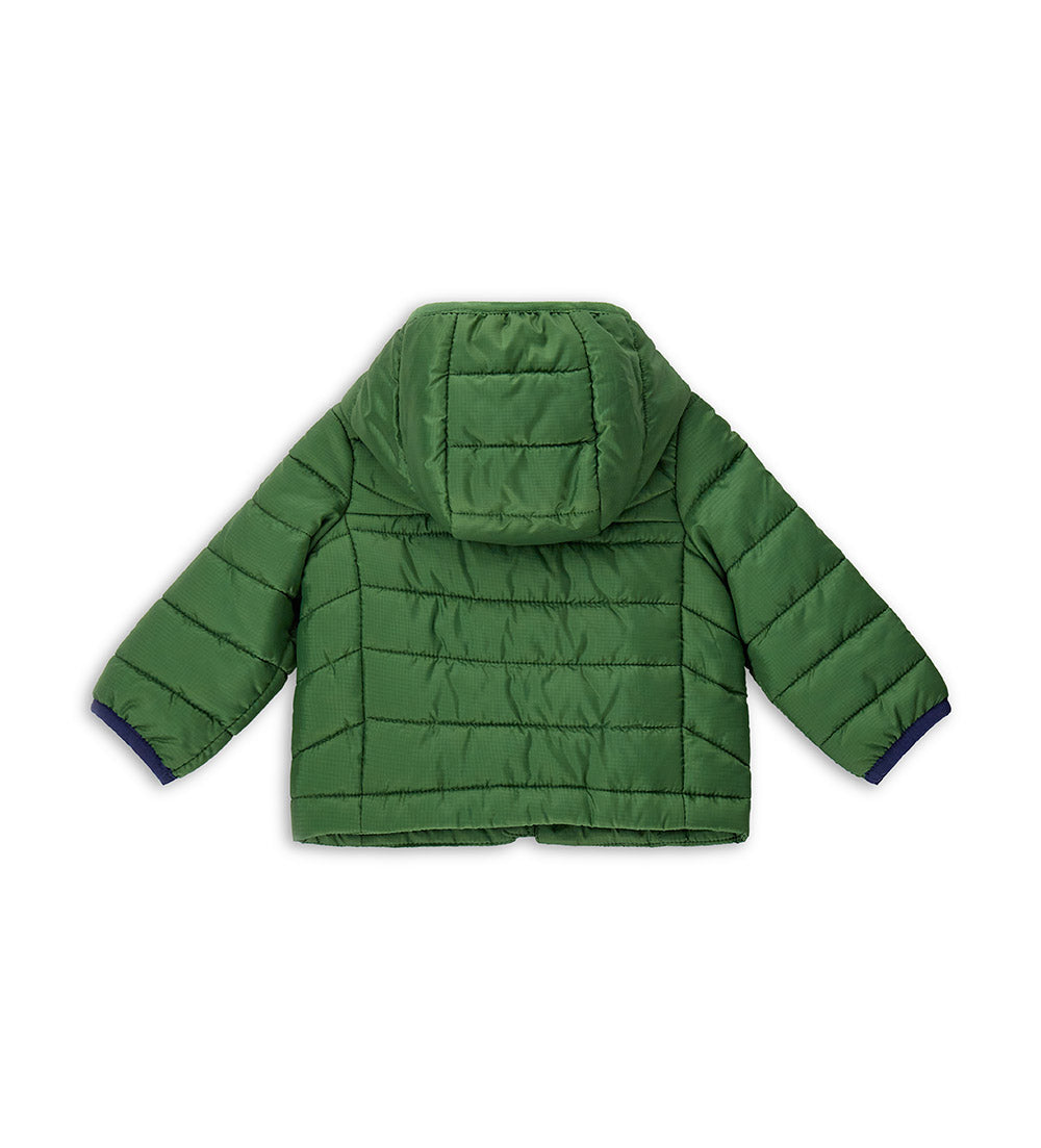 #COLOR_GREEN