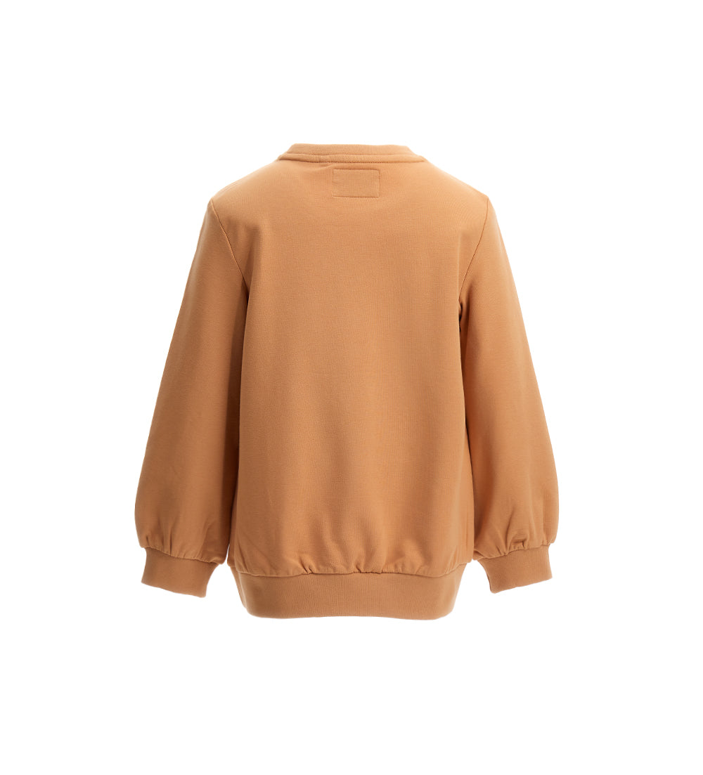 #color_brown
