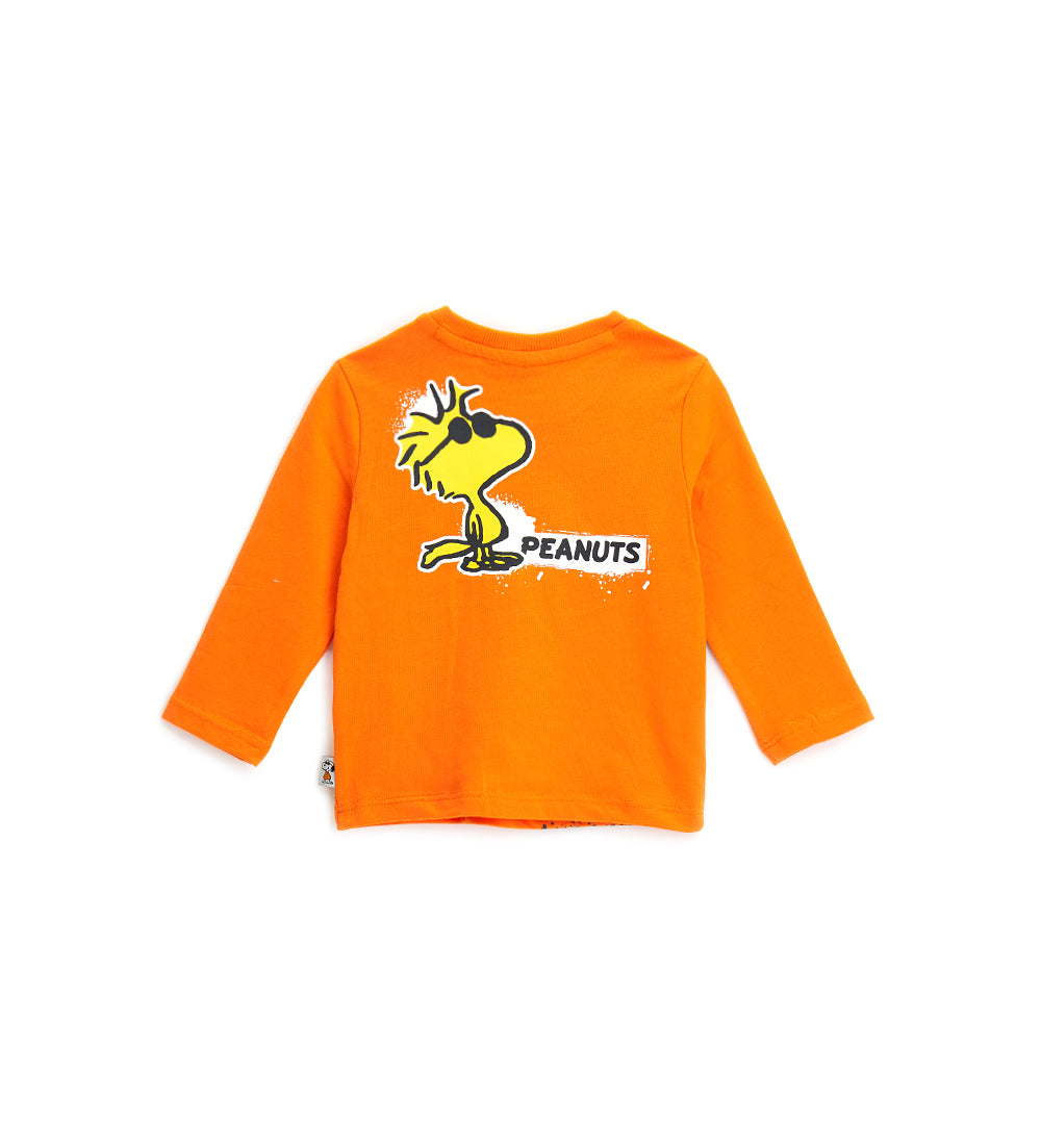 #color_orange