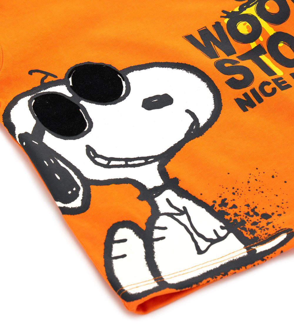 #color_orange