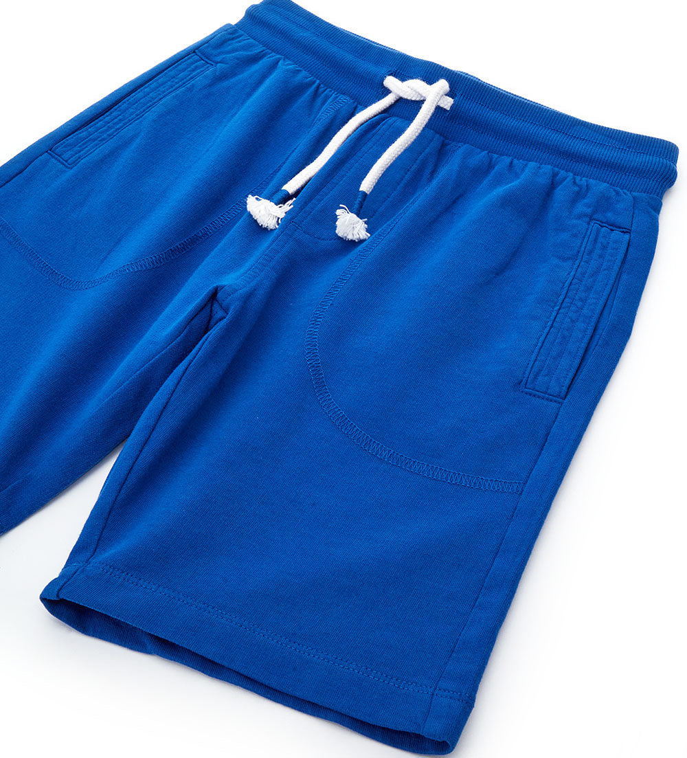 #COLOR_ROYAL BLUE