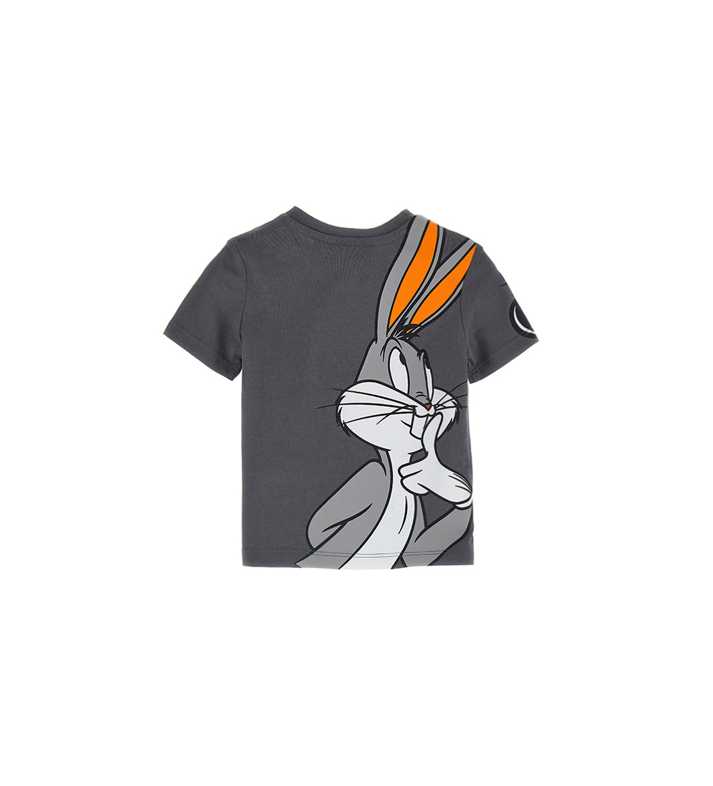 #COLOR_GREY