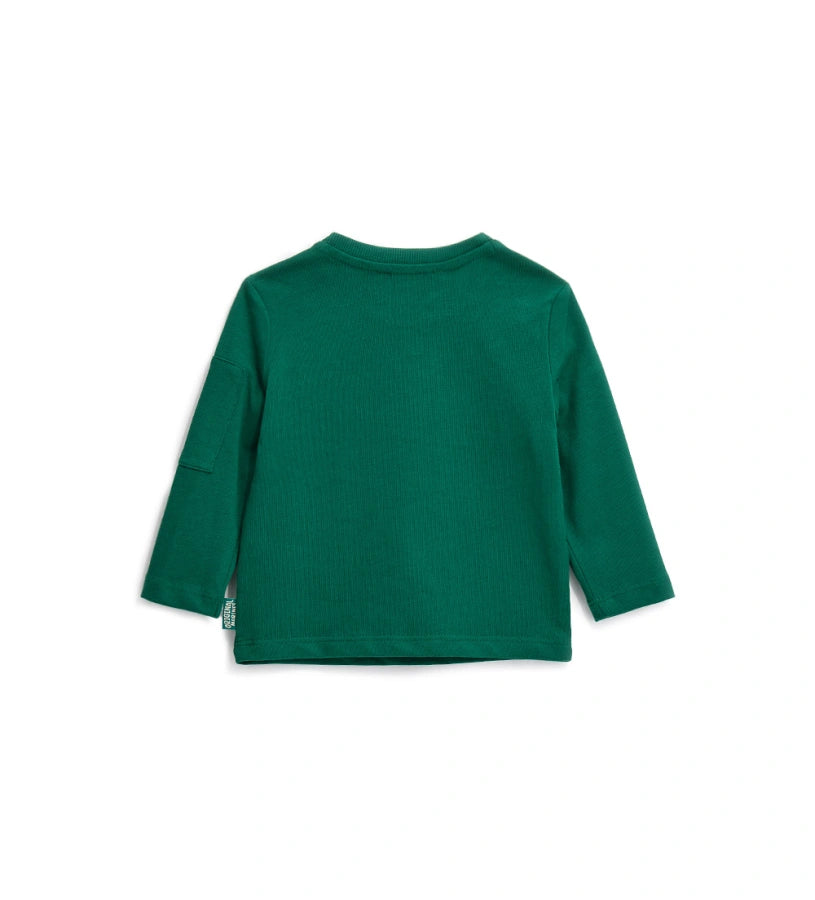 #COLOR_GREEN