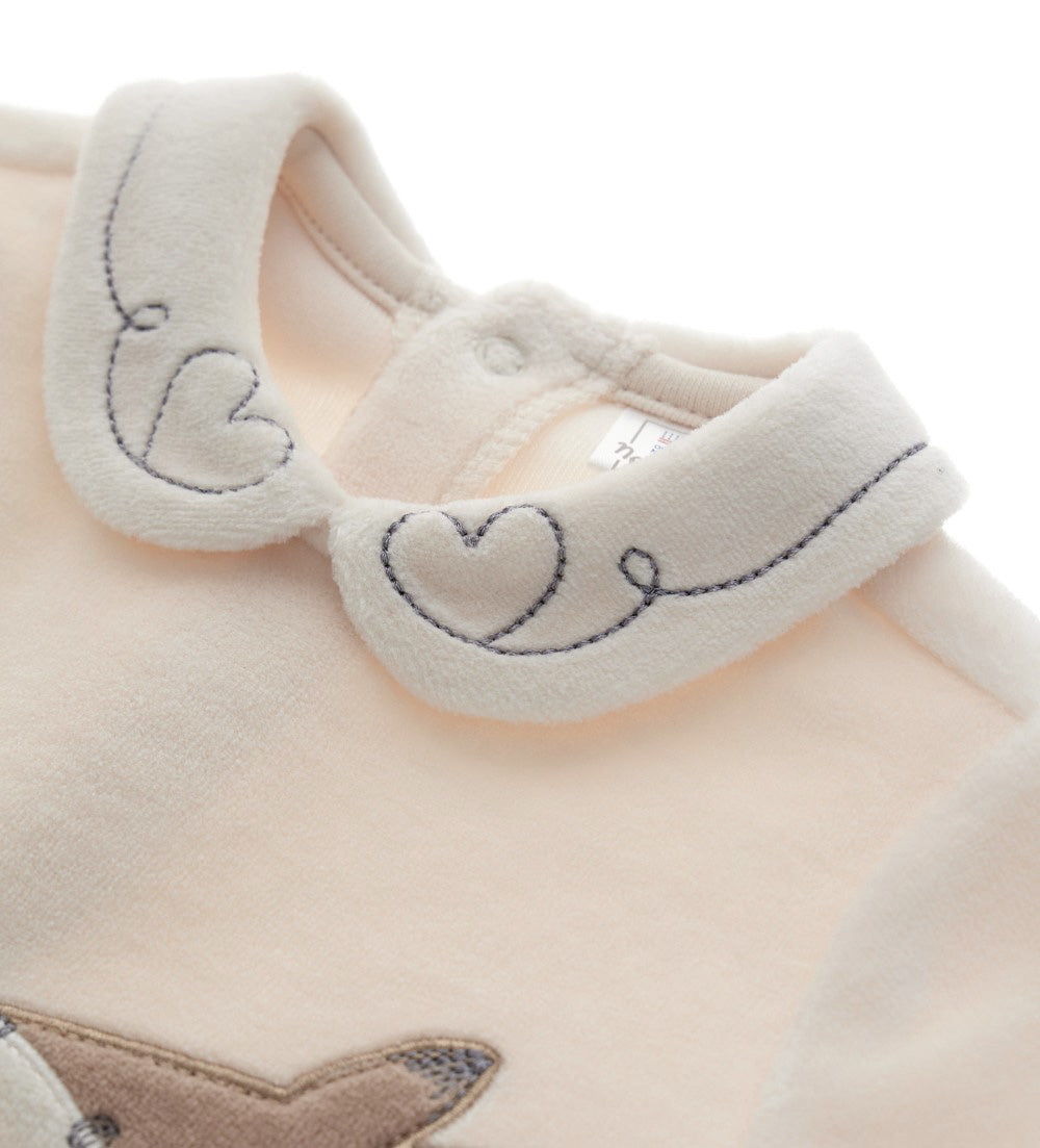 #COLOR_OFF WHITE