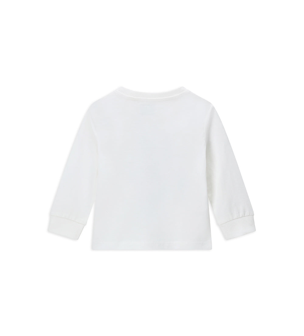 #COLOR_OFF WHITE