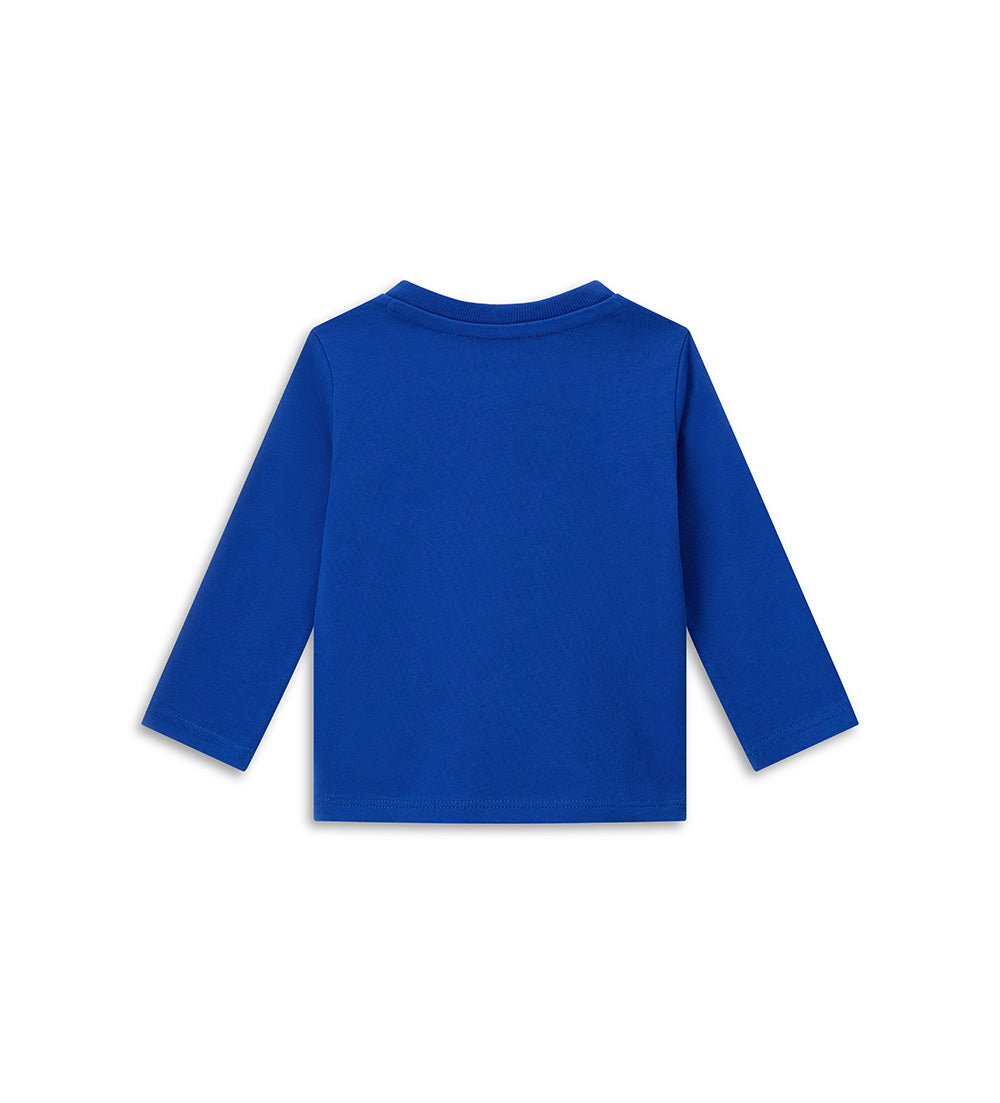 #COLOR_ROYAL BLUE
