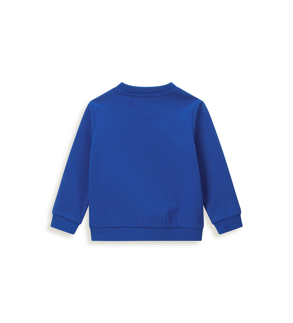 #COLOR_ROYAL BLUE