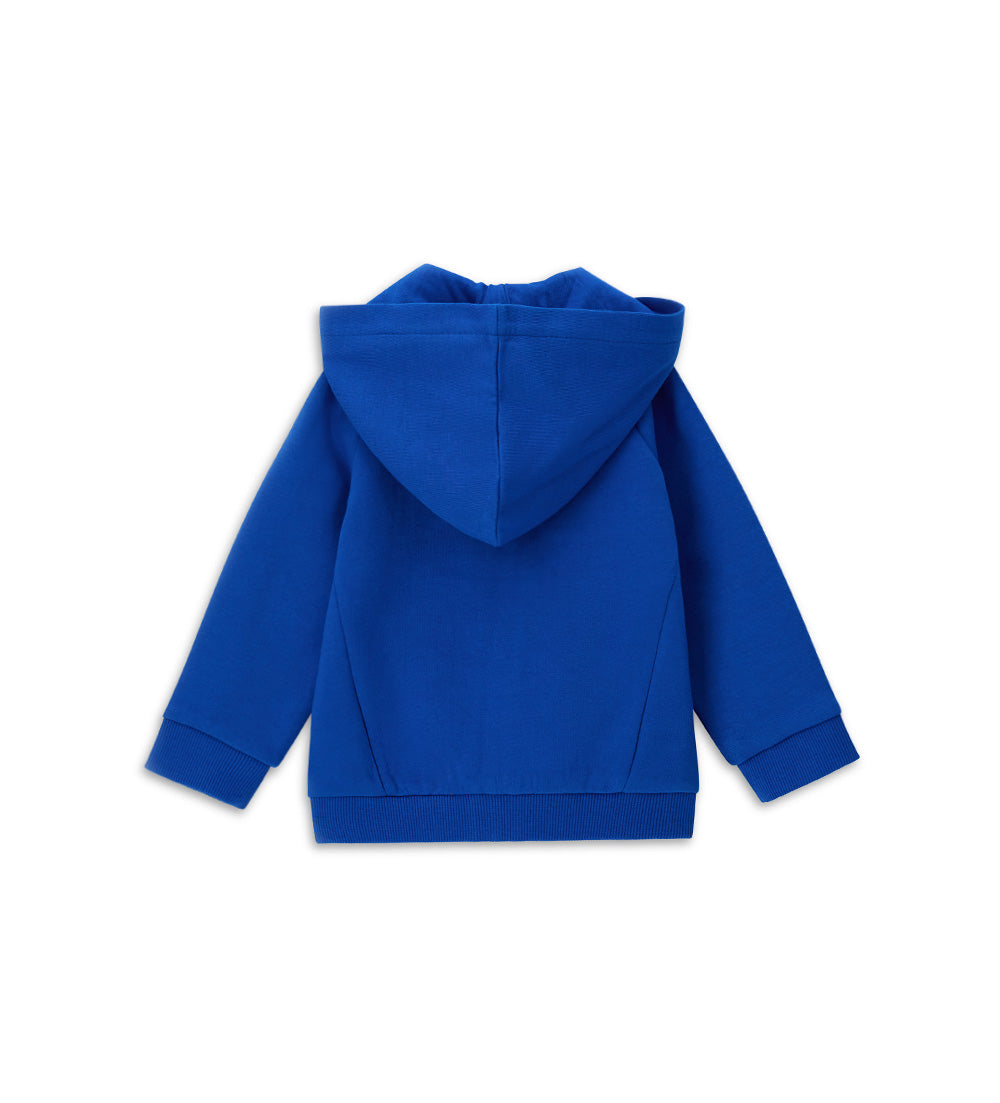#COLOR_ROYAL BLUE