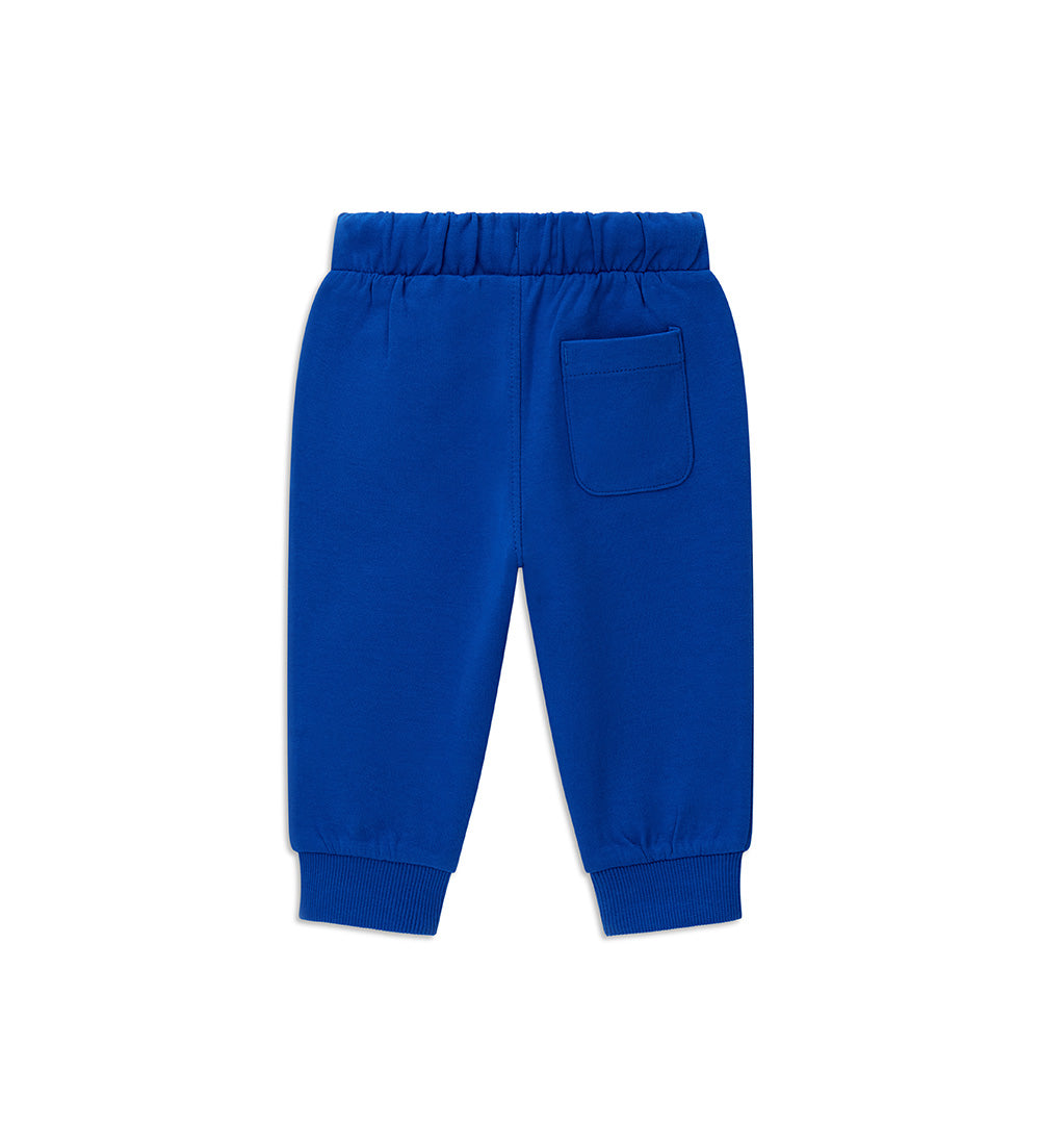 #COLOR_ROYAL BLUE