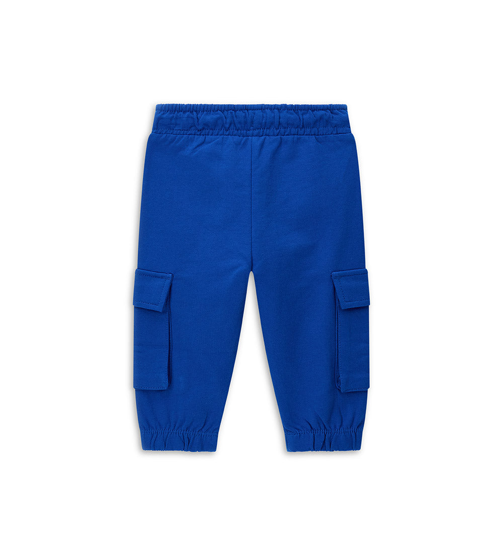 #COLOR_ROYAL BLUE