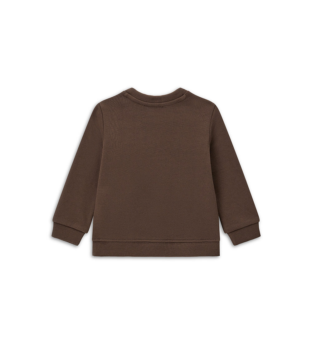 #COLOR_BROWN