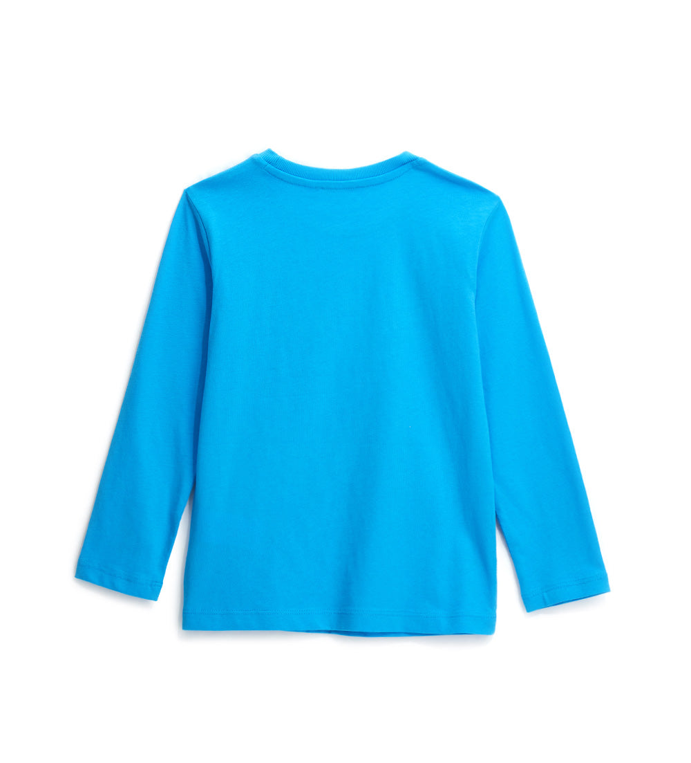 #COLOR_TURQUOISE