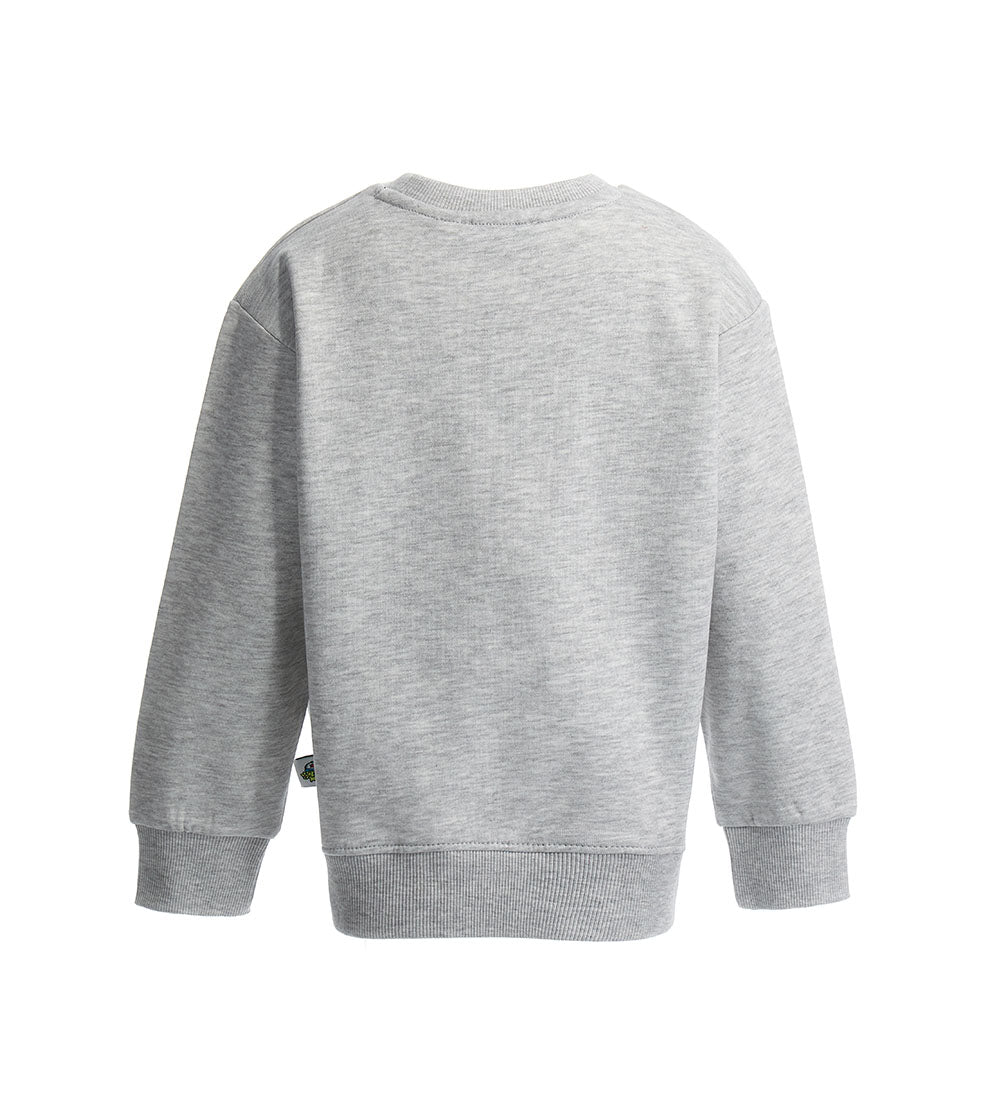 #COLOR_GREY