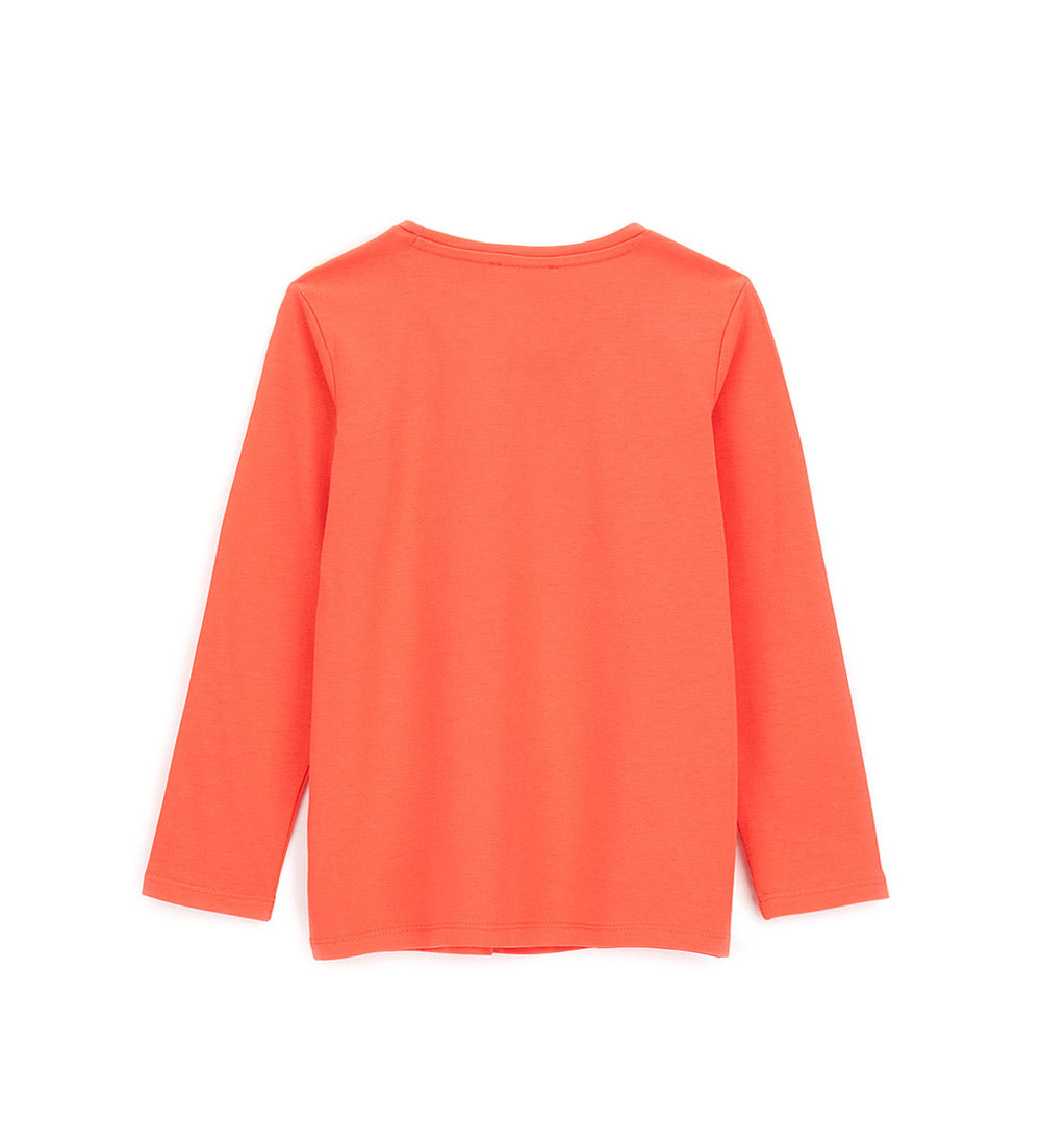 #COLOR_CORAL