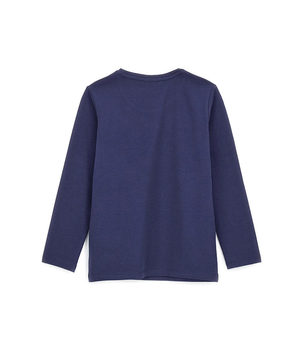 #COLOR_DARK BLUE