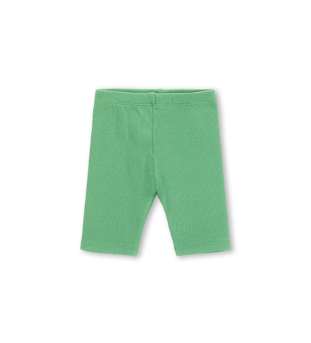 #COLOR_GREEN