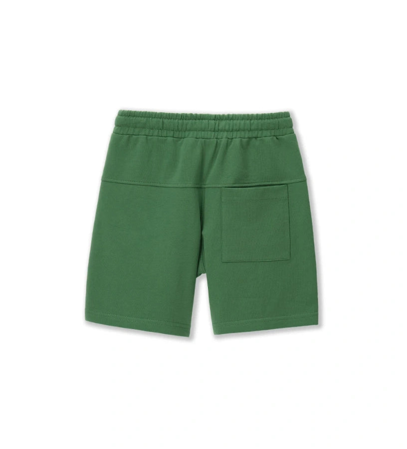 #COLOR_GREEN
