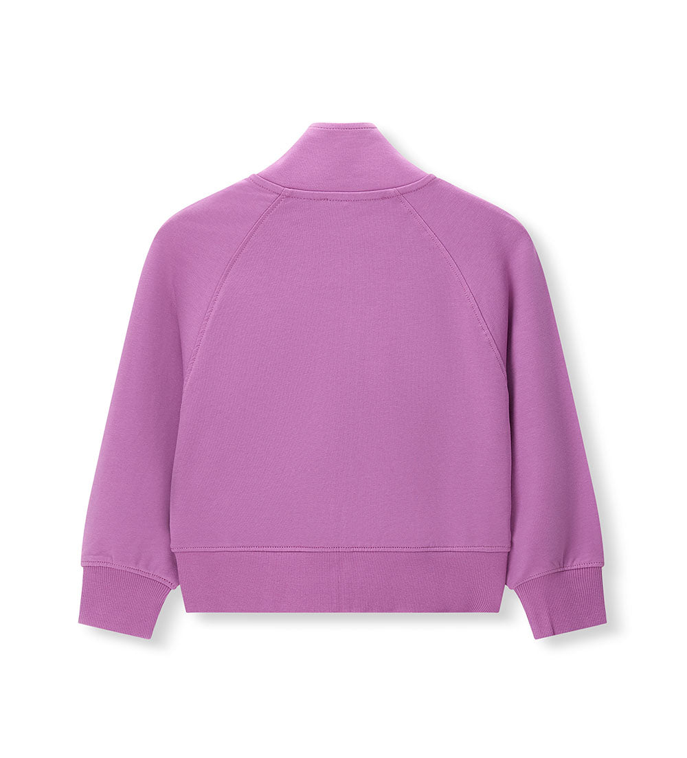 #COLOR_PURPLE