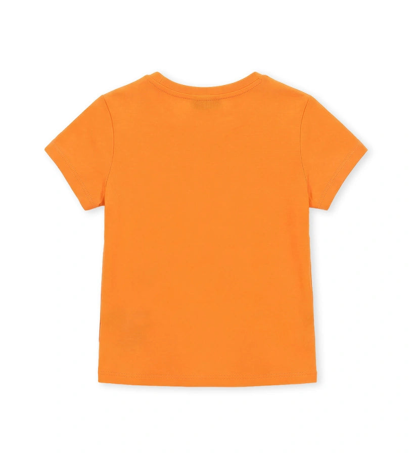#Color_Orange