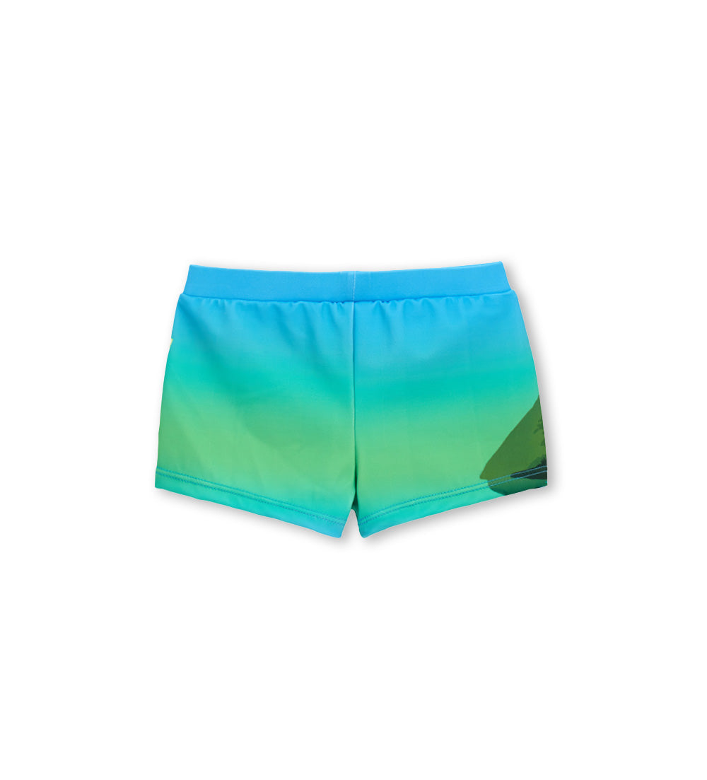 ORIGINAL BEACH Swimming Suits Baby Boy