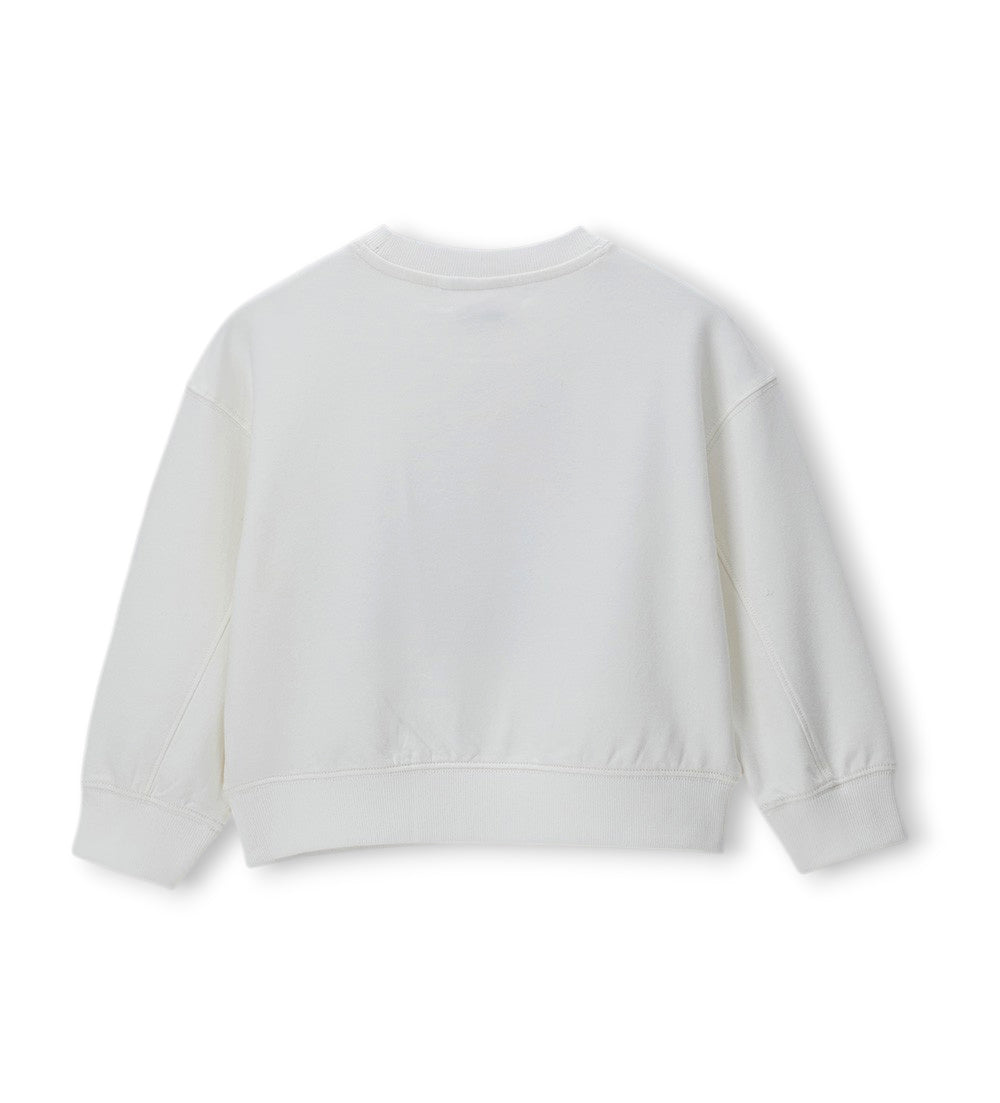 #COLOR_OFF WHITE