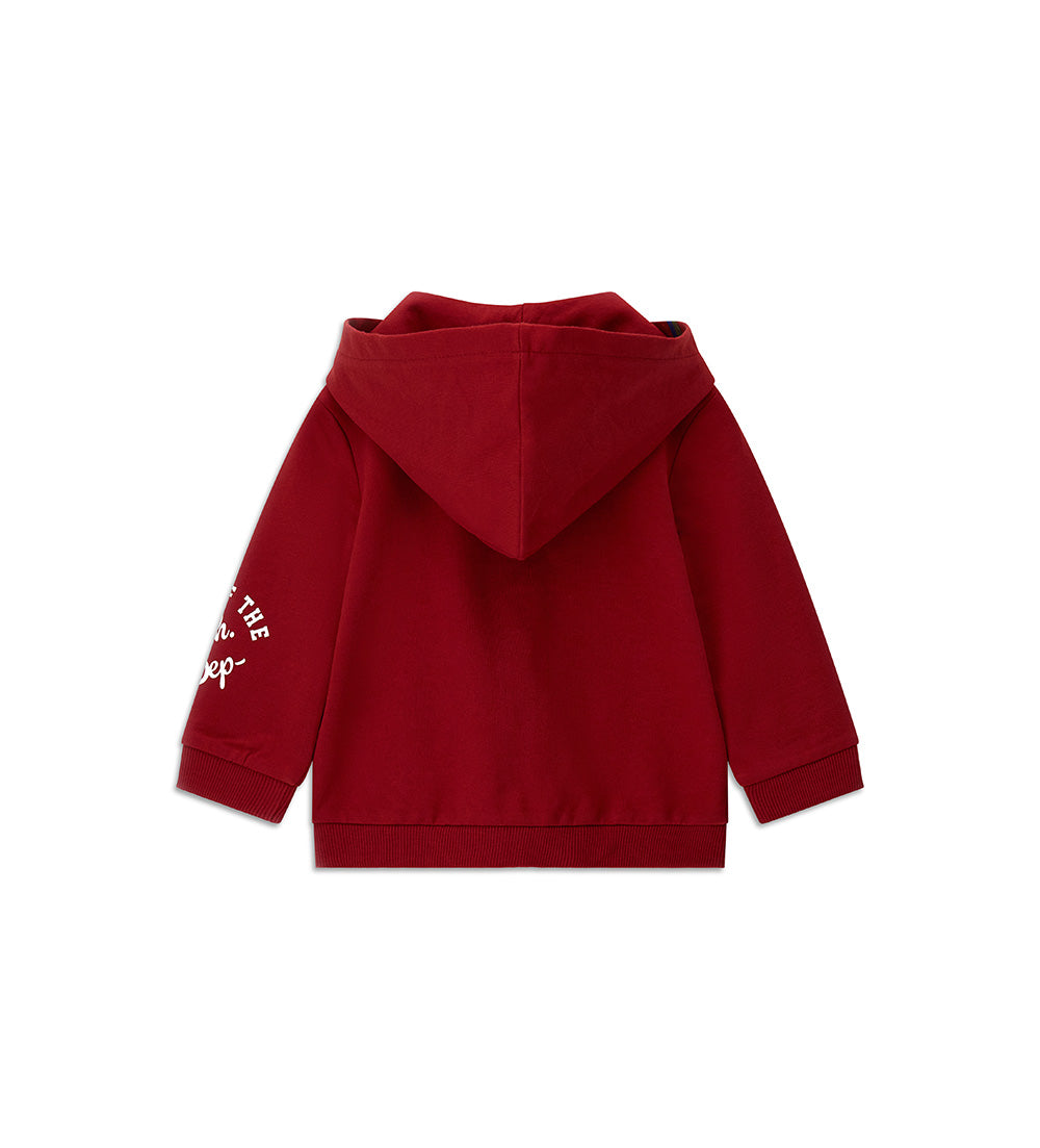#COLOR_BORDEAUX