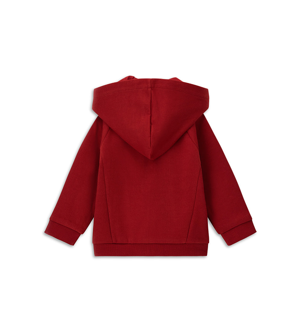 #COLOR_BORDEAUX