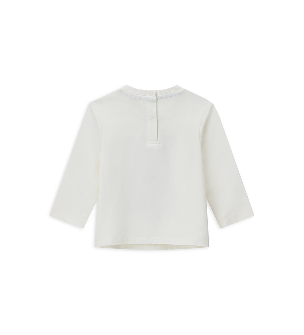 #COLOR_OFF WHITE