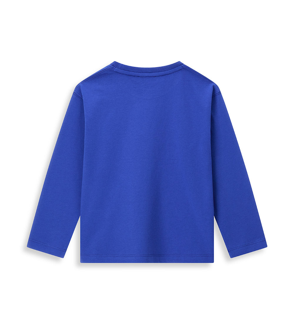 #COLOR_ROYAL BLUE