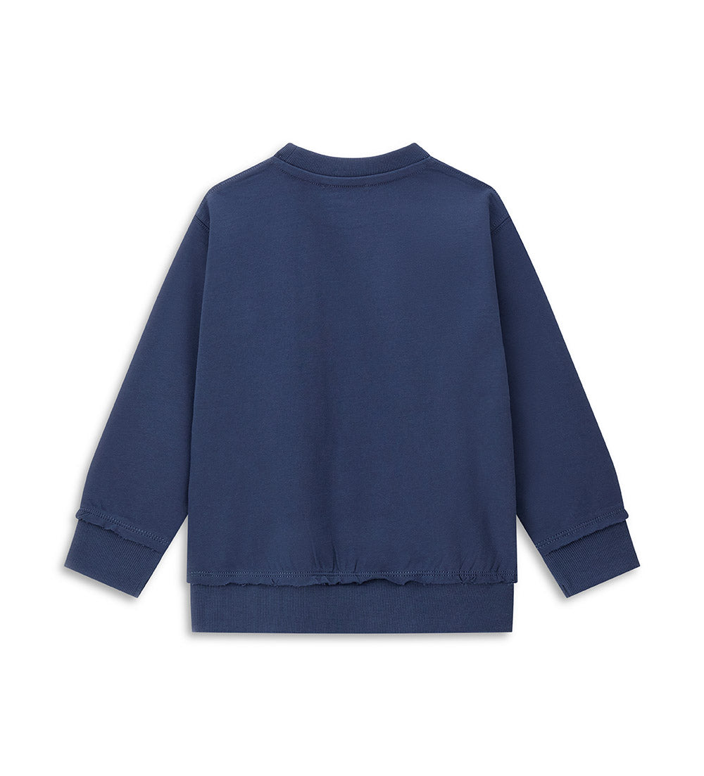 #COLOR_DARK BLUE