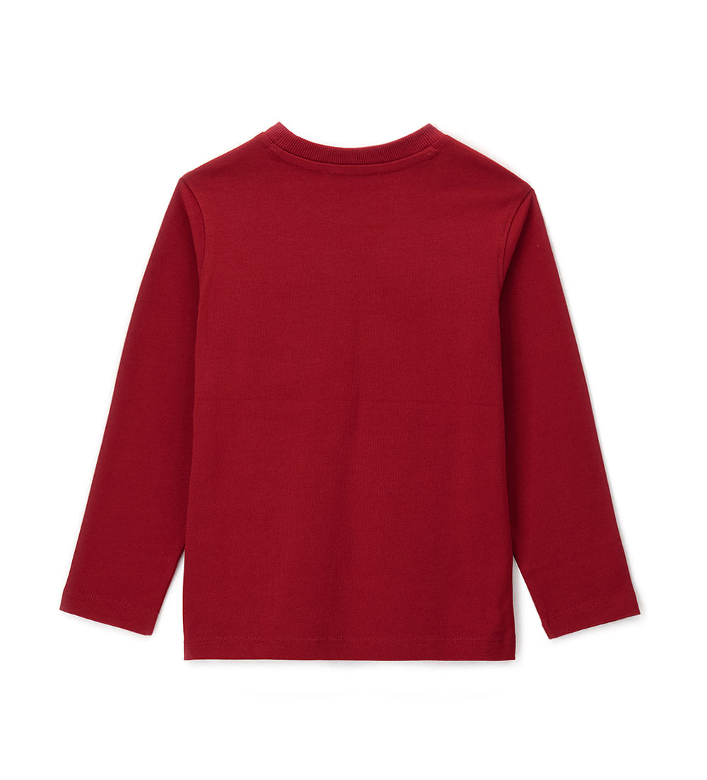 #COLOR_RED