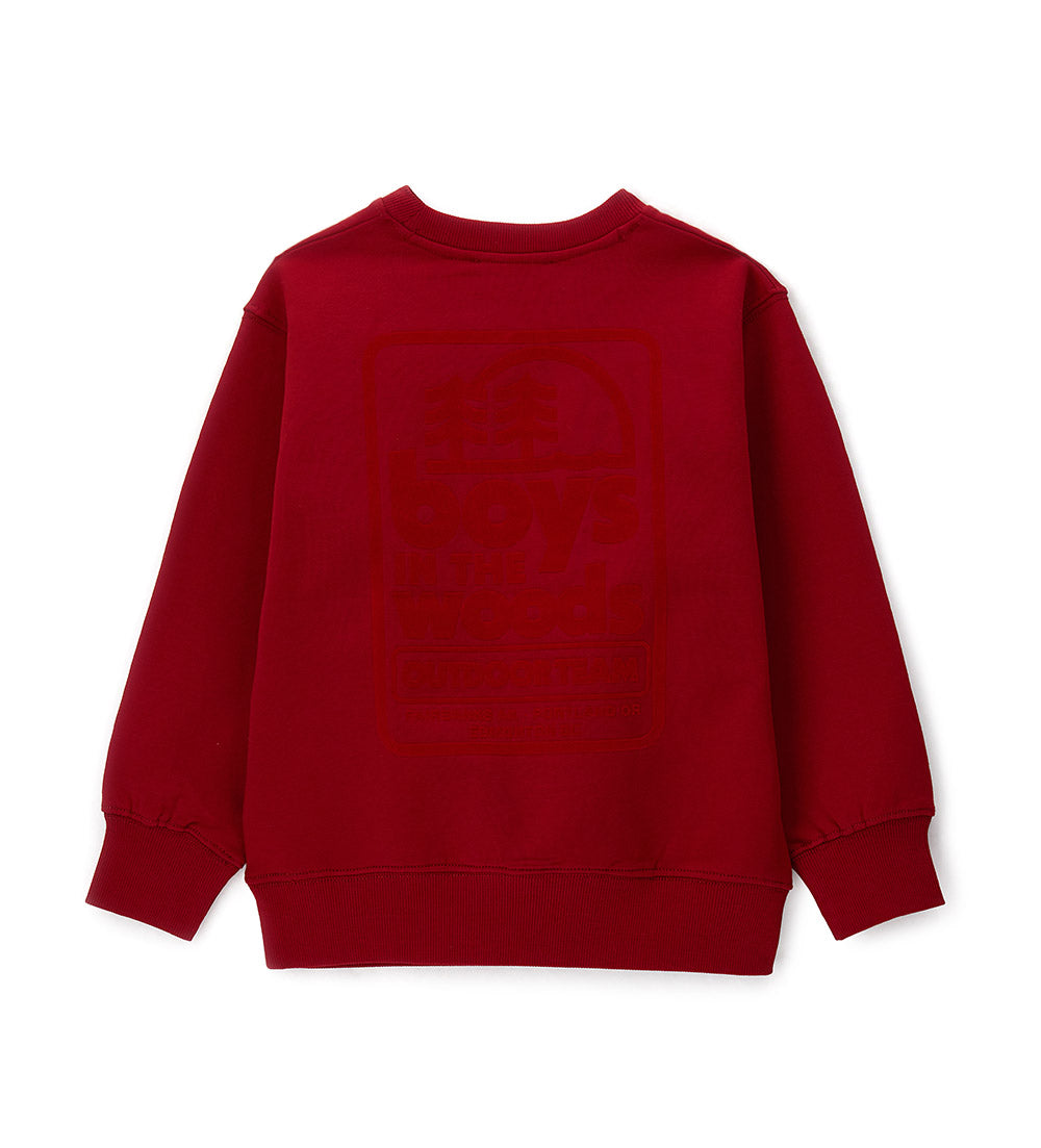 #COLOR_RED