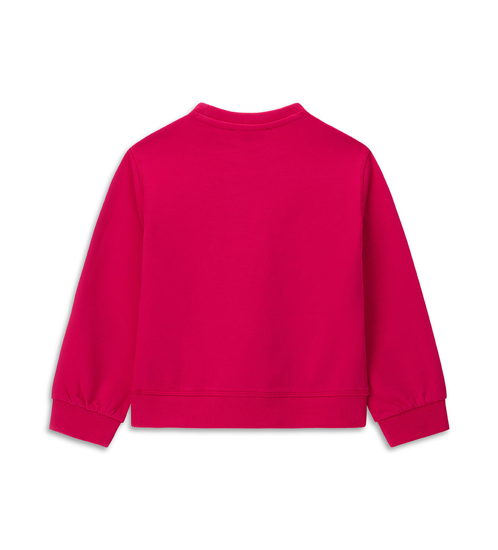 #Color_Fuchsia