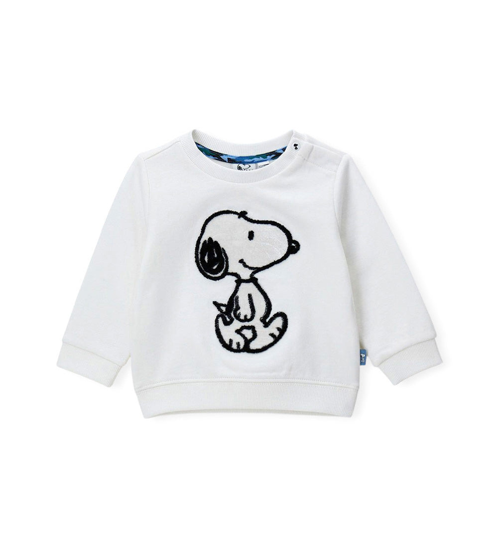 #COLOR_OFF WHITE