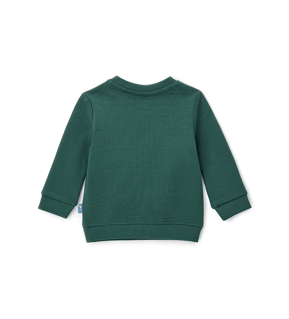 #COLOR_GREEN