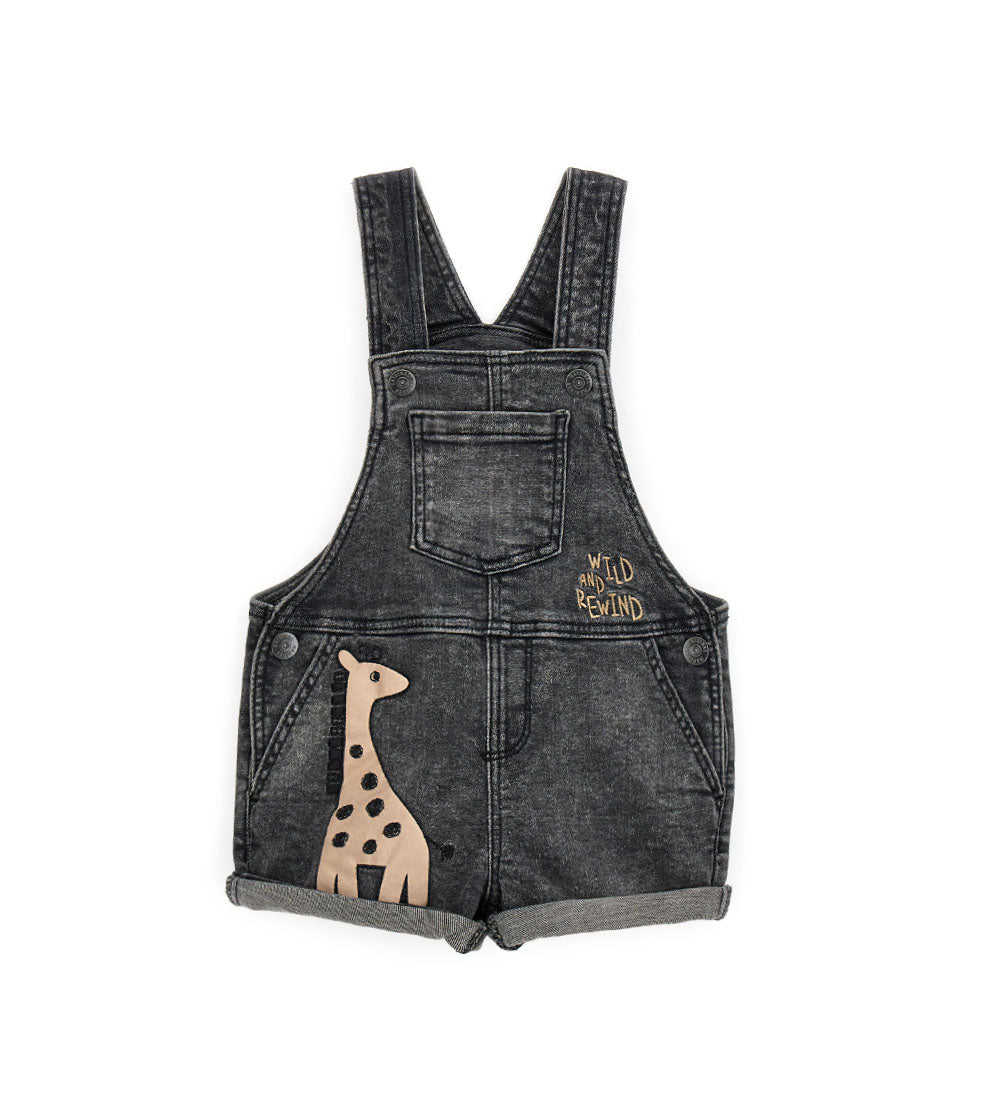 Special Day Baby Boy Jeans Overalls