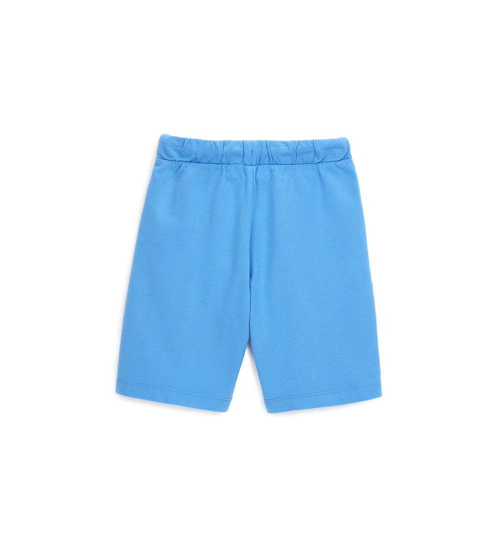 #COLOR_BLUE