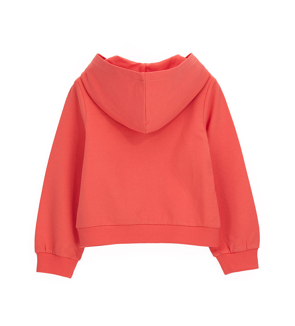 #COLOR_CORAL