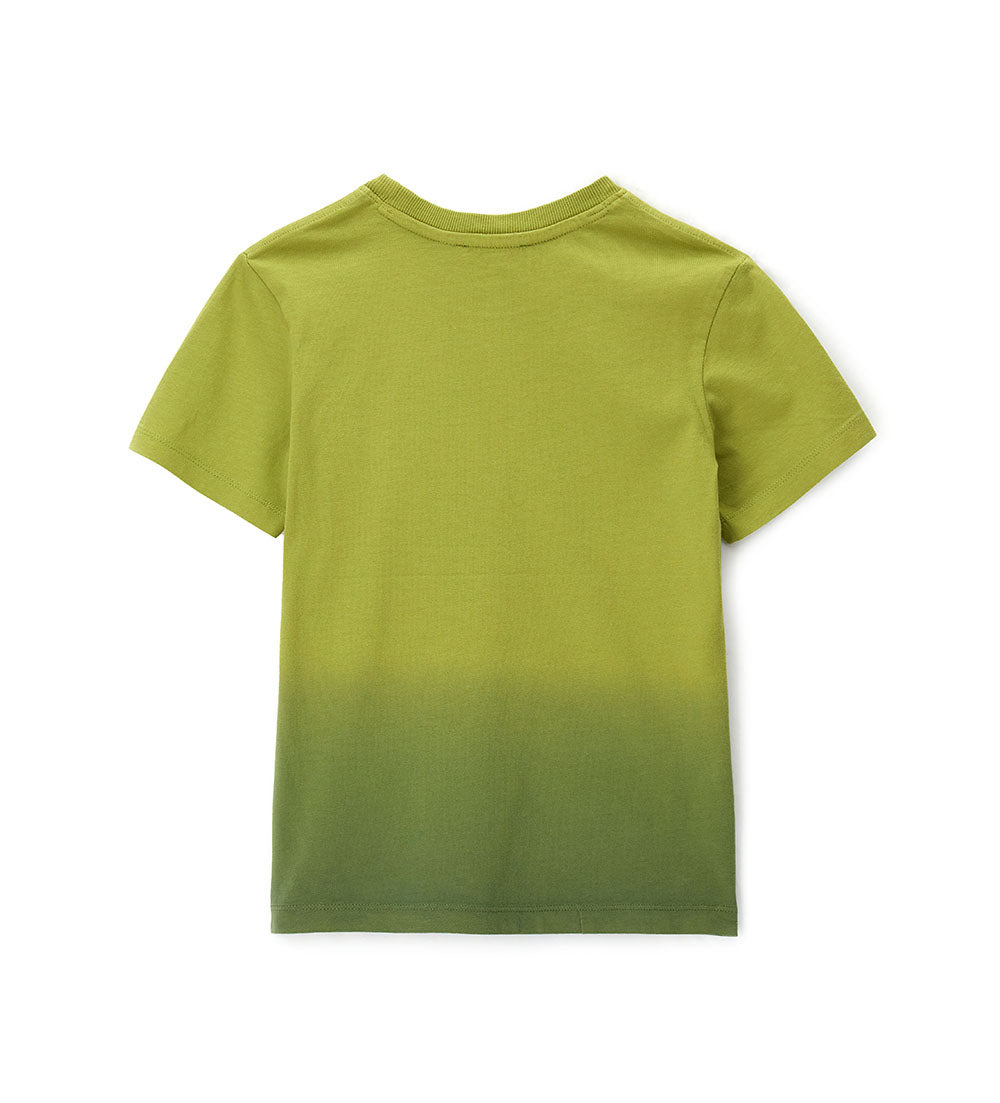 Amazonia Teen Boy Printed T-Shirt 2