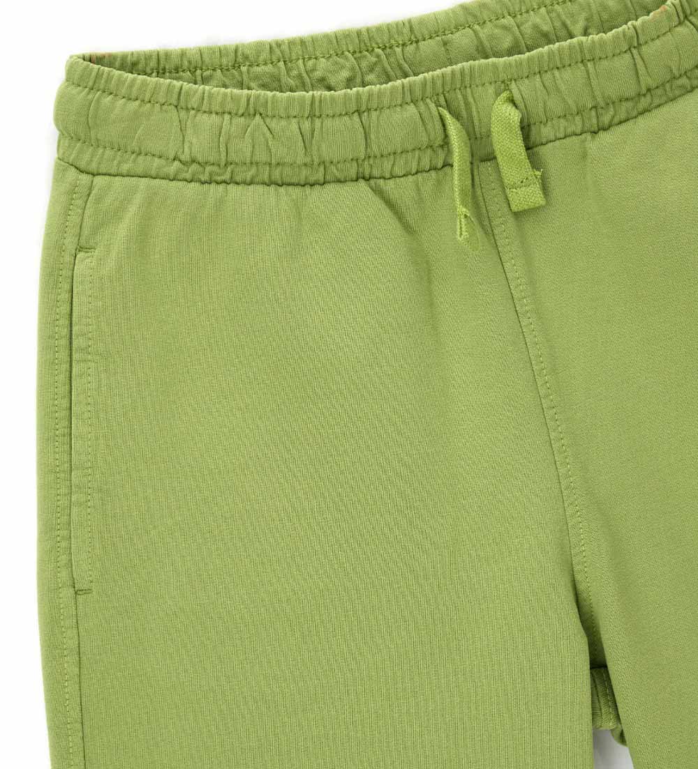#COLOR_GREEN