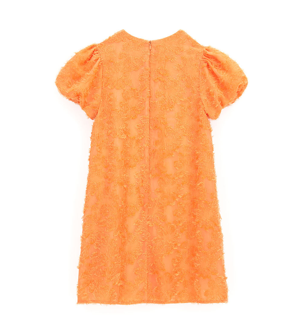 #COLOR_PEACH