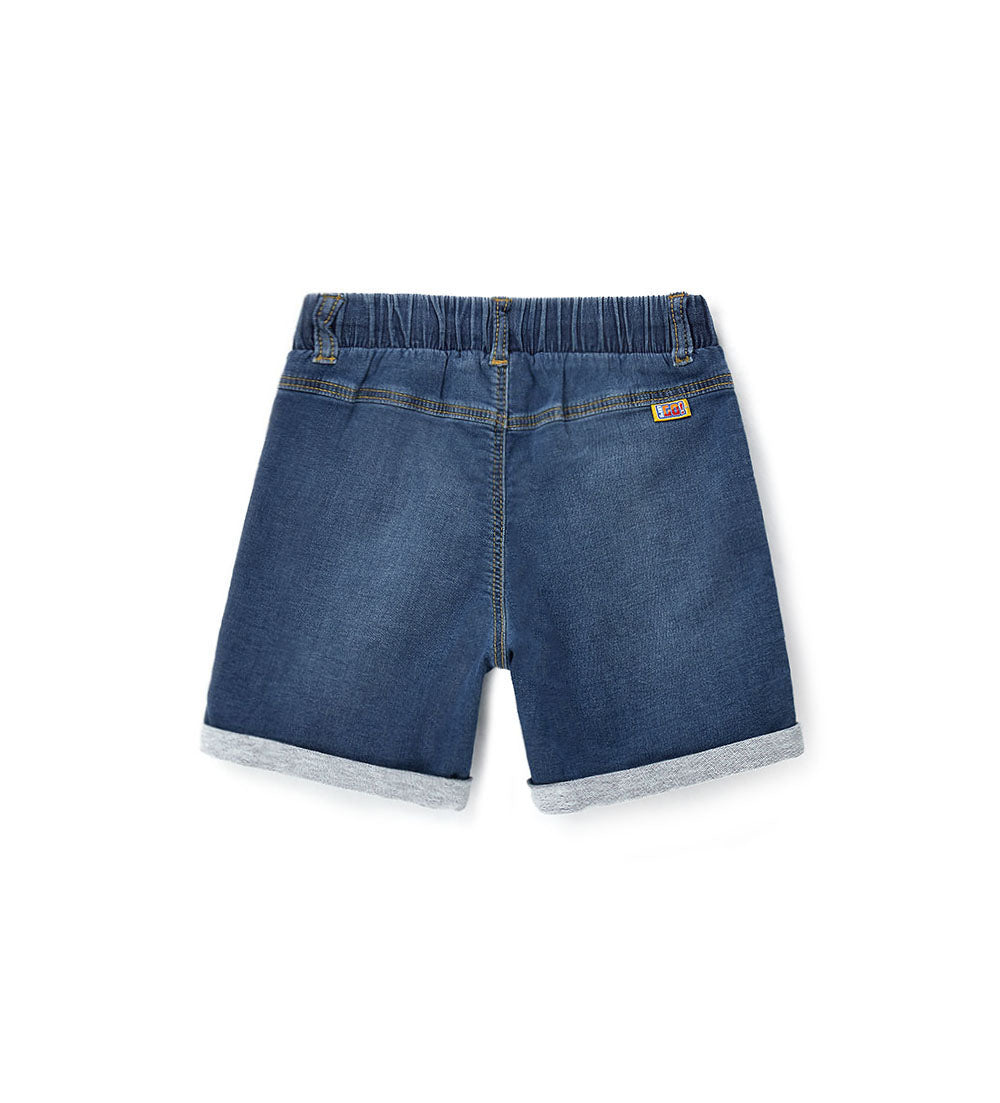 Beach College Boy Sonic Sweatshorts