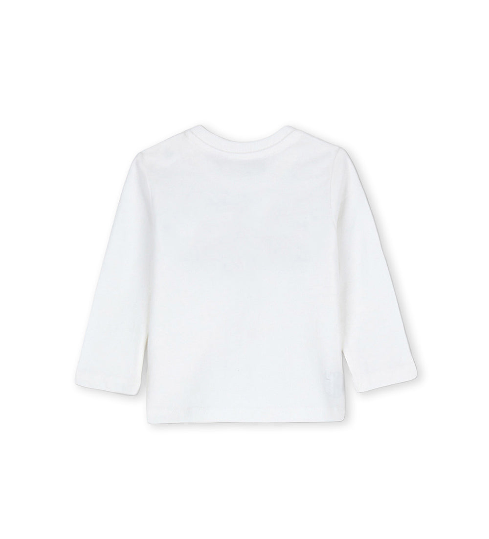 #COLOR_OFF WHITE