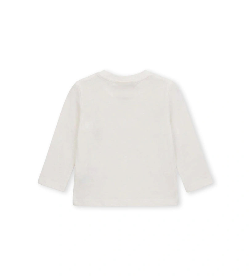 #COLOR_OFF WHITE