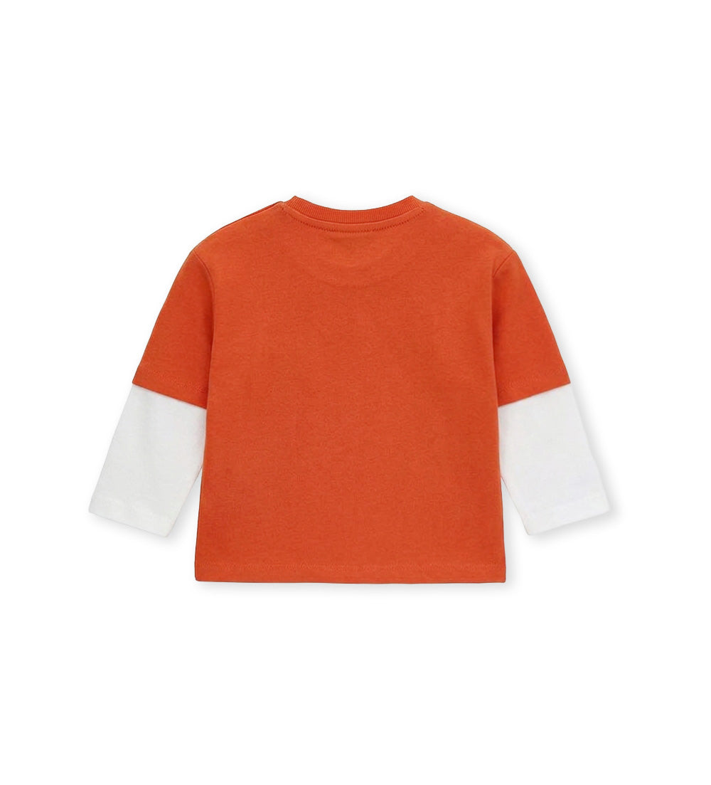 #COLOR_ORANGE