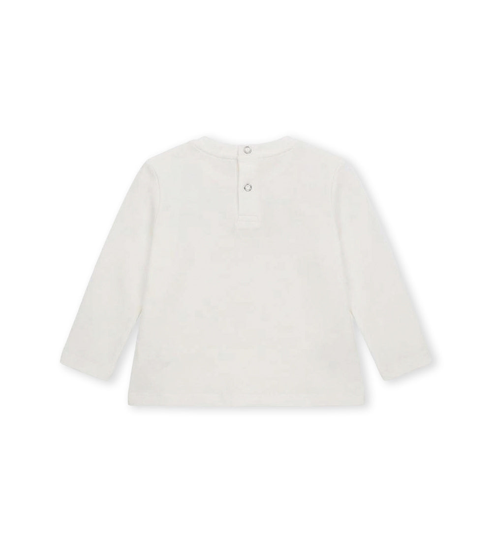 #COLOR_OFF WHITE