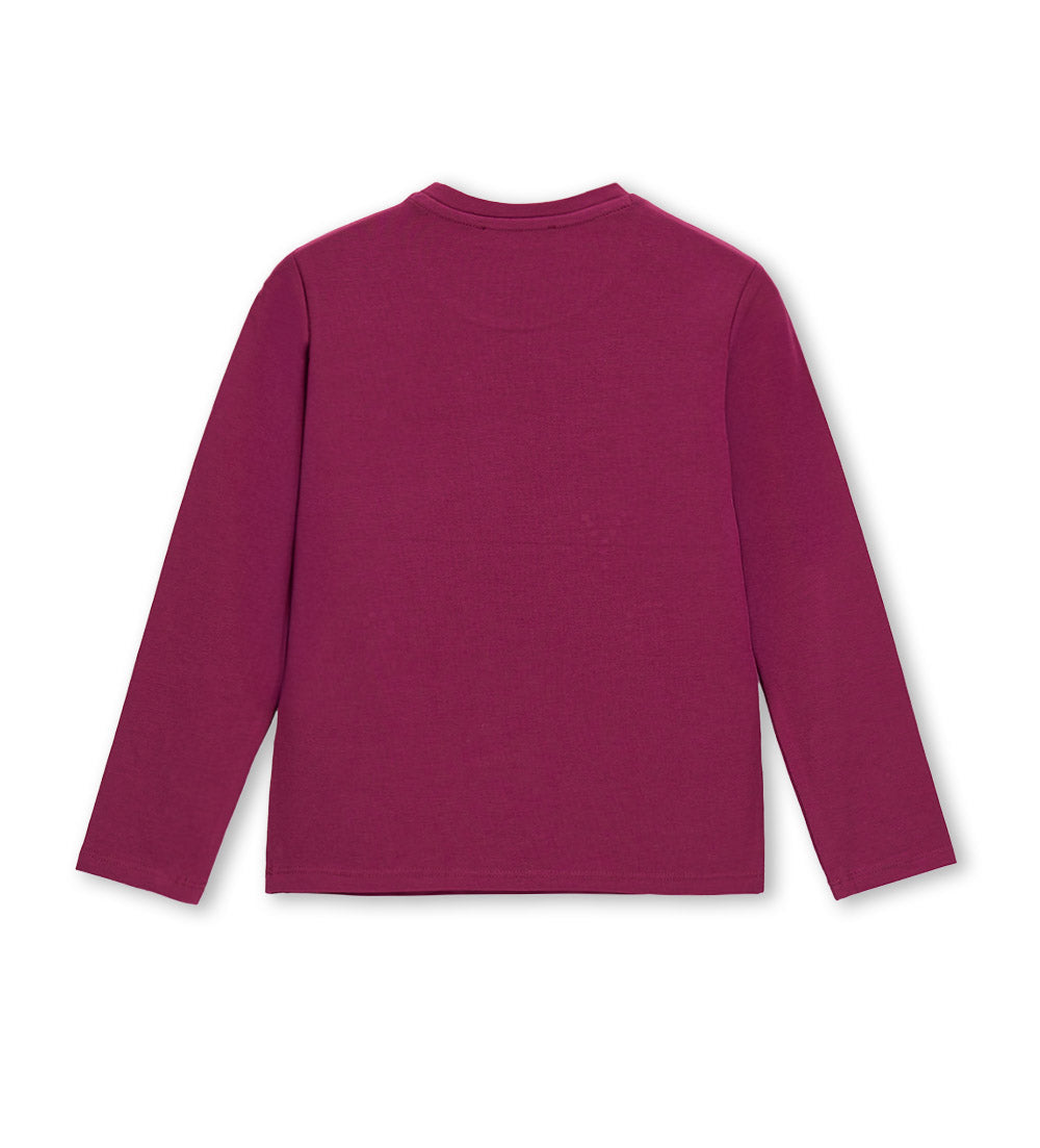 #COLOR_BORDEAUX