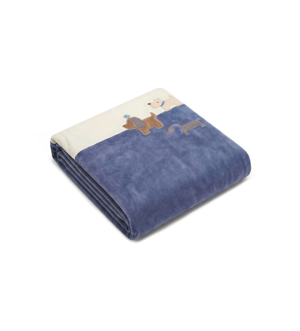 FALL DREAMS BLANKET NEWBORN BOY